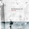 【JAZZ新譜】21世紀のECMを代表するピアニスト 4年ぶりのトリオ作　Opening / Tord Gustavsen Trio  (2022)