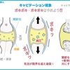 ボキボキや力づくのストレッチは今すぐやめよう‼️