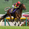 競馬初心者必見☆馬券予想🔥〜オークス〜牝馬二冠達成へ！