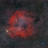 IC1396