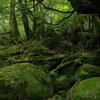 屋久島(縄文杉)へ行こう 〜準備編〜