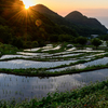 石部の棚田　＆　伊浜のホタル