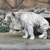 【東武動物公園】動物園＋遊園地＋自然ありのハイブリッド・レジャーランドに行ってきました！