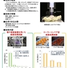 プラズマを用いた農産物の殺菌法