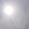 晴れ☀　から　曇り空☁　「木蓮の涙」