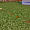 植物が土の状態に戻るのを防ぐMOD