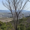 瓦屋寺