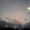 かしまし姉妹旅 in アトランタ　2010　その８　　daniellaちゃん邸ディナー