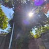 須賀神社・貴舩神社