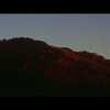 今日の動画。 - Julia Holter - Words I Heard (Official Video)