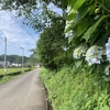 【脳梗塞 後遺症】ワレンベルグ 再就職 振り返り