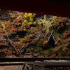 小雨が舞う冬の吉野へ。コロナで閉館した老舗旅館「宝の家」を見て思うこと。