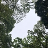 子供は親の悪いところも素直に吸収してしまう