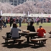 旭が丘のさくら祭り