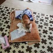 06 01から1ヶ月間の記事一覧 老犬ぶーやんの介護日記 06 01から1ヶ月間の記事一覧 老犬ぶーやんの介護日記