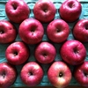 北国の大地で育った真っ赤なりんご🍎 楽天ブラックフライデー