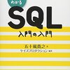アプリケーションエラー発生 - 瓦礫のソフィー / 獣の仕業 感想