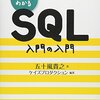 アプリケーションエラー発生 - 瓦礫のソフィー / 獣の仕業 感想