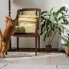 一人暮らしでも飼いやすい猫の種類をおすすめ、幸福感を高める！