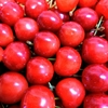 名川のさくらんぼ🍒