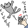 実家の猫に避けられているらしい。