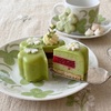 【レシピ】北欧食器「ARABIAアラビア Apilaアピラ」に合わせるピスタチオとホワイトチョコのクローバームースケーキ｜美しい断面を作るちょっとしたコツ