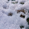 涓滴雪を穿つ