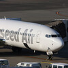  LQ JA801X B737-800(wl)