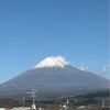 今日も