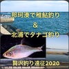 那珂湊の稚鮎釣り→北浦のタナゴ釣り遠征！2020