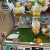 クレーンゲームでアヒルちゃんをゲットしたI got a duck in the crane game.