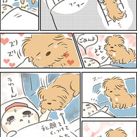 【犬漫画】寝込んでいる飼い主と手をつなぐ犬＆今後についてお知らせ