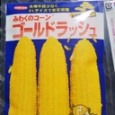 坂の餅　速報営農絵日誌