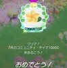 ピクミンブルーム＊その２３　プルメリアのコミュニティデイ