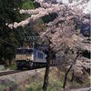 青梅線の桜
