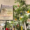 西宮北口｜西宮阪急のサービスセンターで七夕の短冊がもらえます