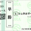 2023年　毎日王冠　予想
