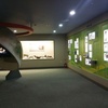 テグ：韓方薬令市医薬博物館