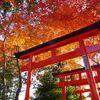 館林市の紅葉スポット情報まとめ