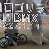 川口ゴリラ公園20220110