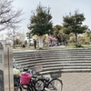 牧野公園の花見