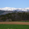 やまびこロードから見る雪が残る白山