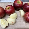 紅玉でリンゴの甘煮を作りました。これでアップルパイがいつでも作れます。
