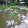 あじさい公園2（東京都小平市）