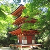 初夏の浄瑠璃寺へ