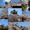 Instagramベスト9ふう、金澤桜百景2020年（その１）