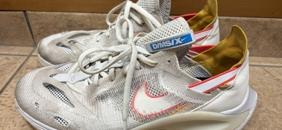 NIKEのスニーカー N110 D/MS/X Dimsixをリサイクルショップのセカンドストリートで買った