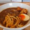 つめたい麺に半熟卵温かいカレー鳥天２ヶ付