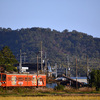 近江鉄道 2024　11/13-14