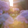 SIGMA 17-40mm F1.8 DC Art